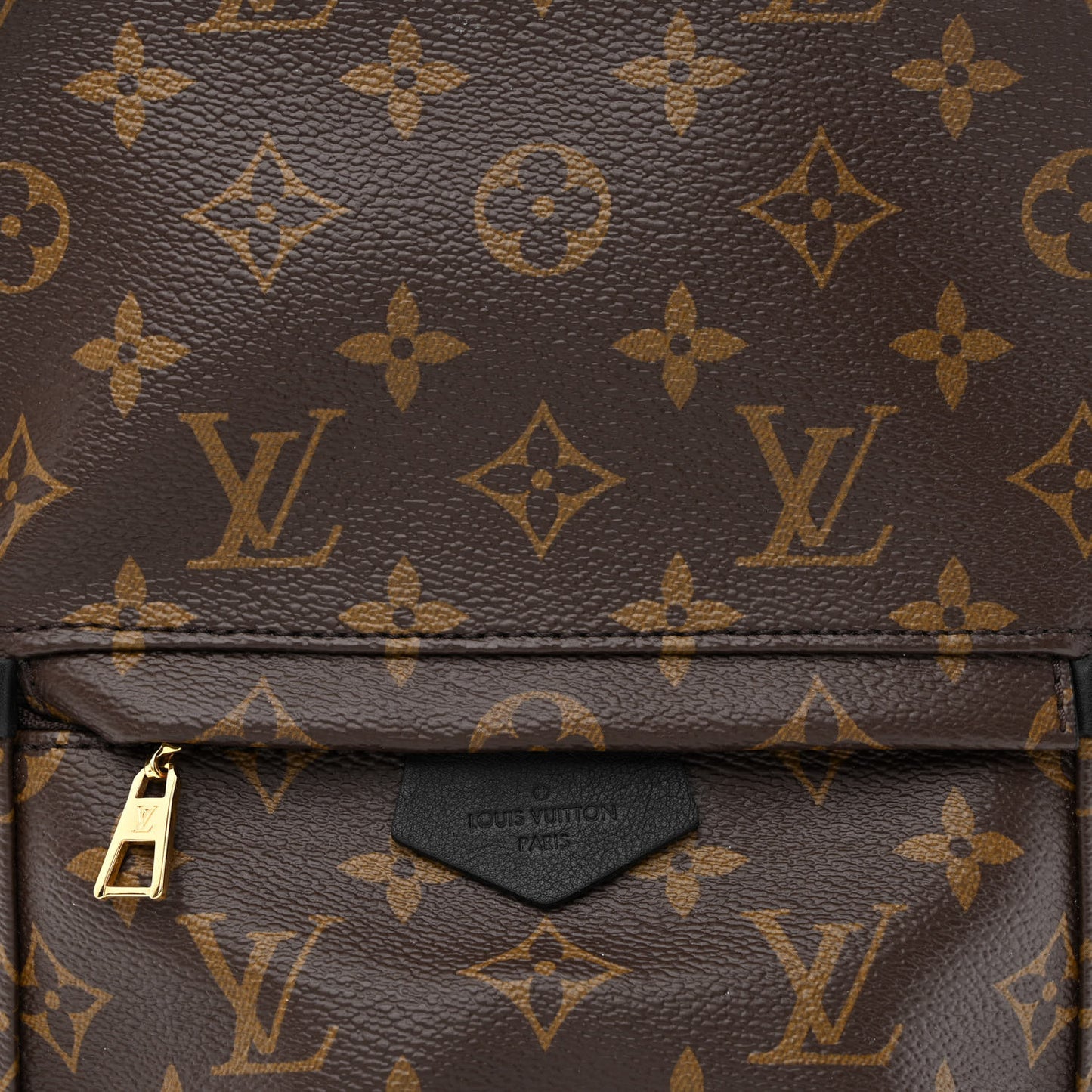 Monogram Palm Springs Backpack PM
