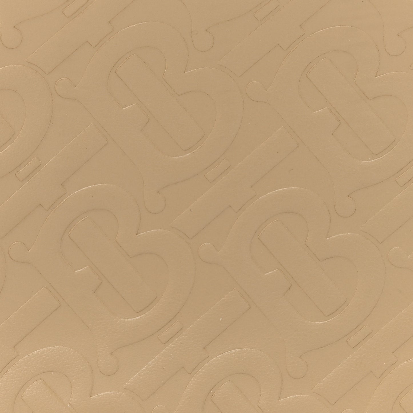 Calfskin Embossed Monogram Camera Chain Bag Honey