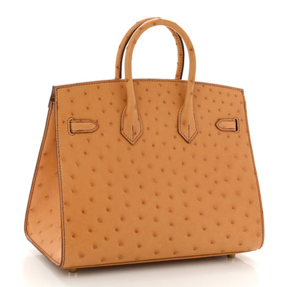 Hermes Ostrich Birkin Sellier 25 Gold 3 of 10