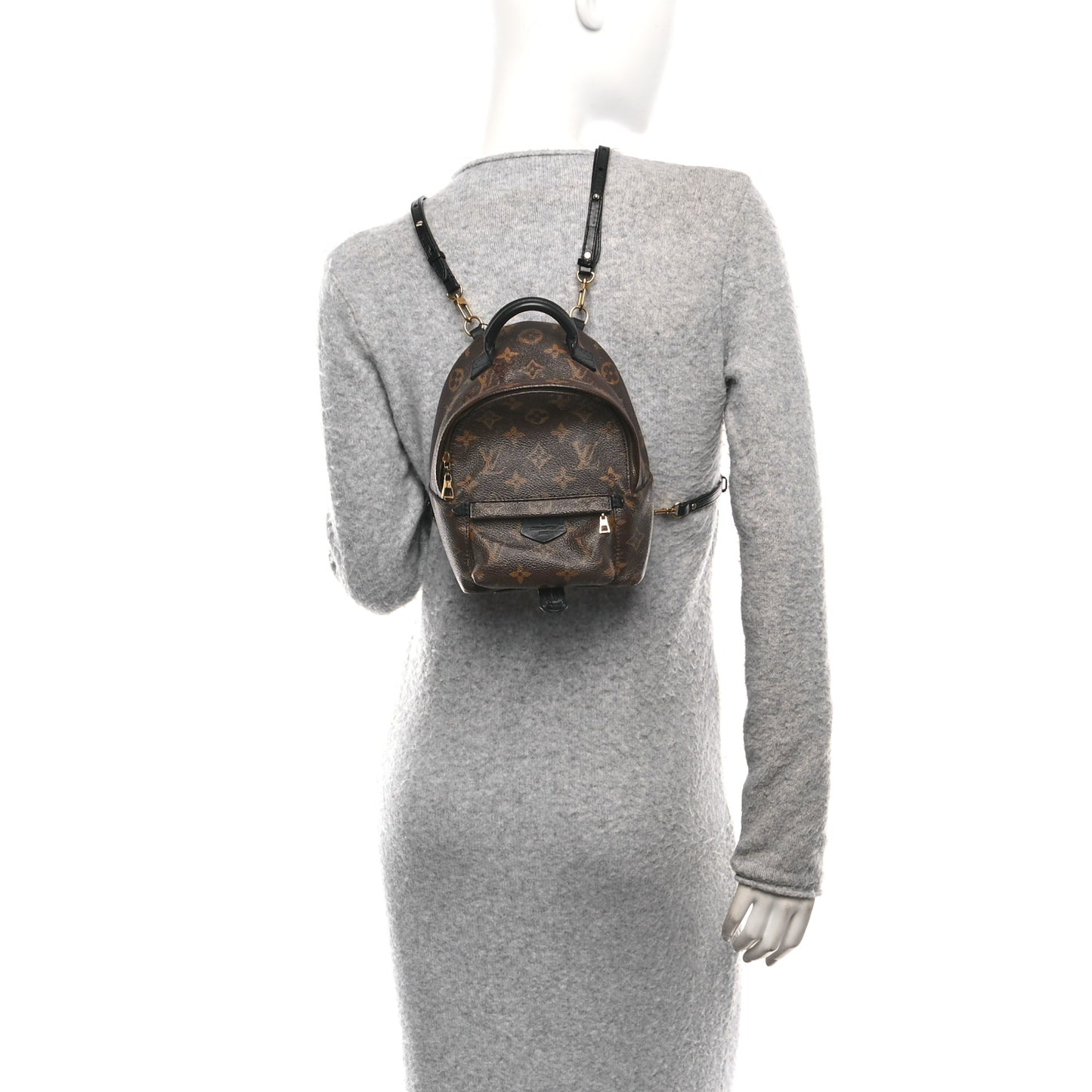 Monogram Palm Springs Backpack Mini