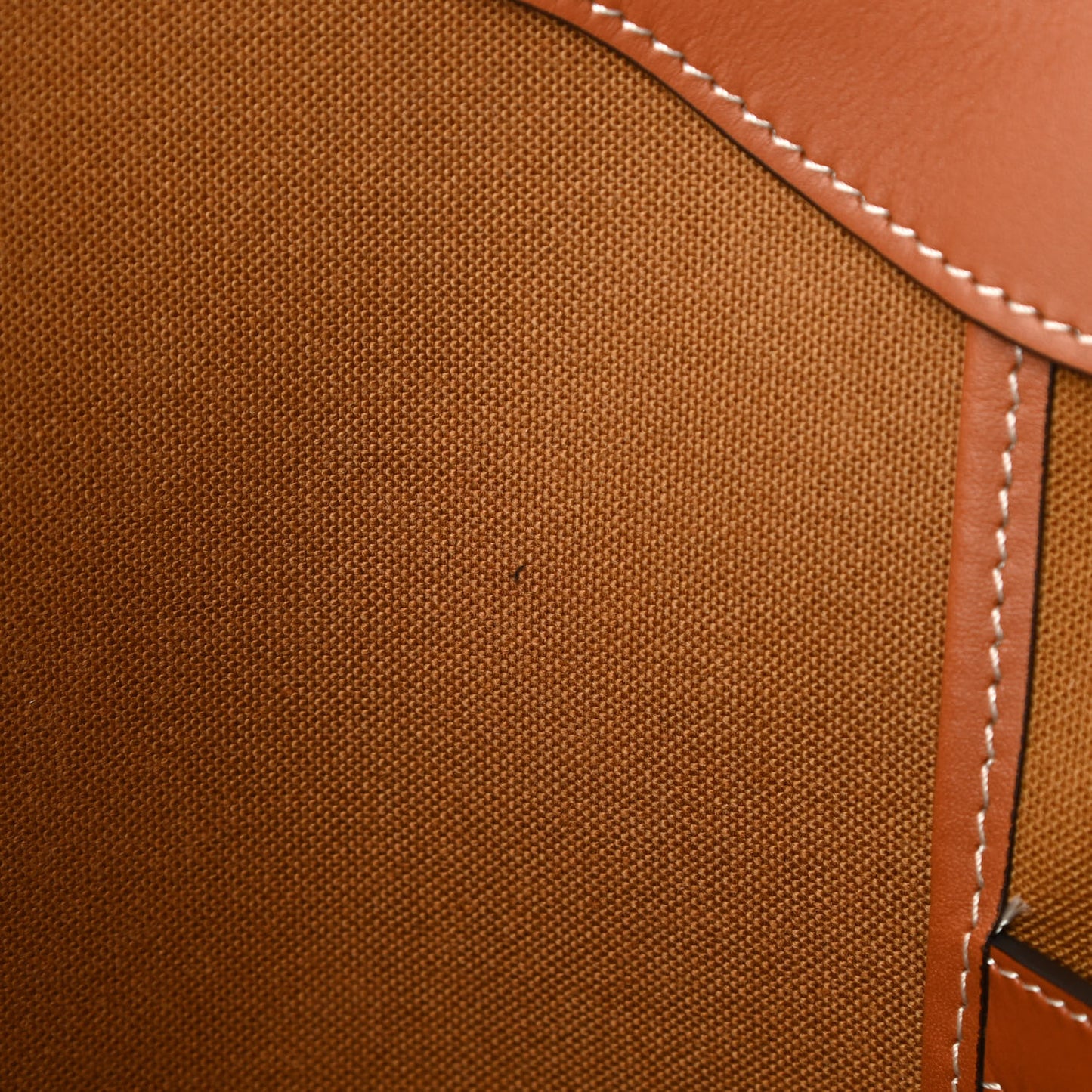 Triomphe Canvas Calfskin Medium Cabas Bag Tan