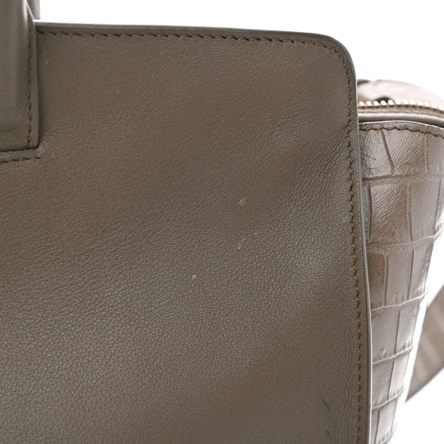 Calfskin Crocodile Embossed Small Monogram Downtown Cabas Earth