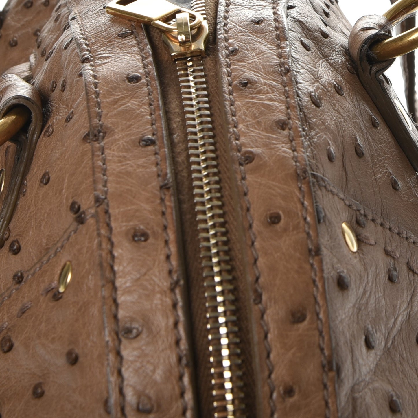 Ostrich Large Muse