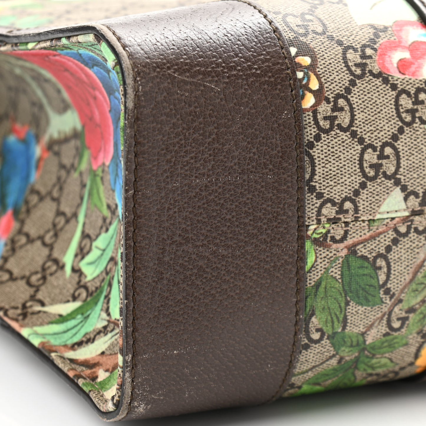 GG Supreme Monogram Tian Web Vertical Tote Beige Multicolor New Acero