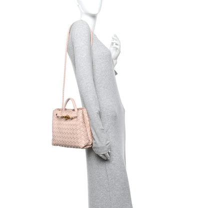 Bottega Veneta Nappa Intrecciato Small Andiamo Shoulder Bag Lotus 2 of 9
