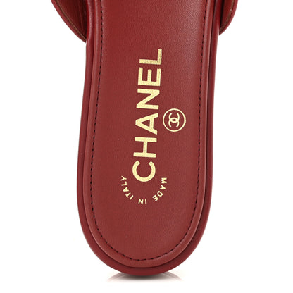 Chanel Lambskin CC Thong Sandals 39 Burgundy 7 of 10