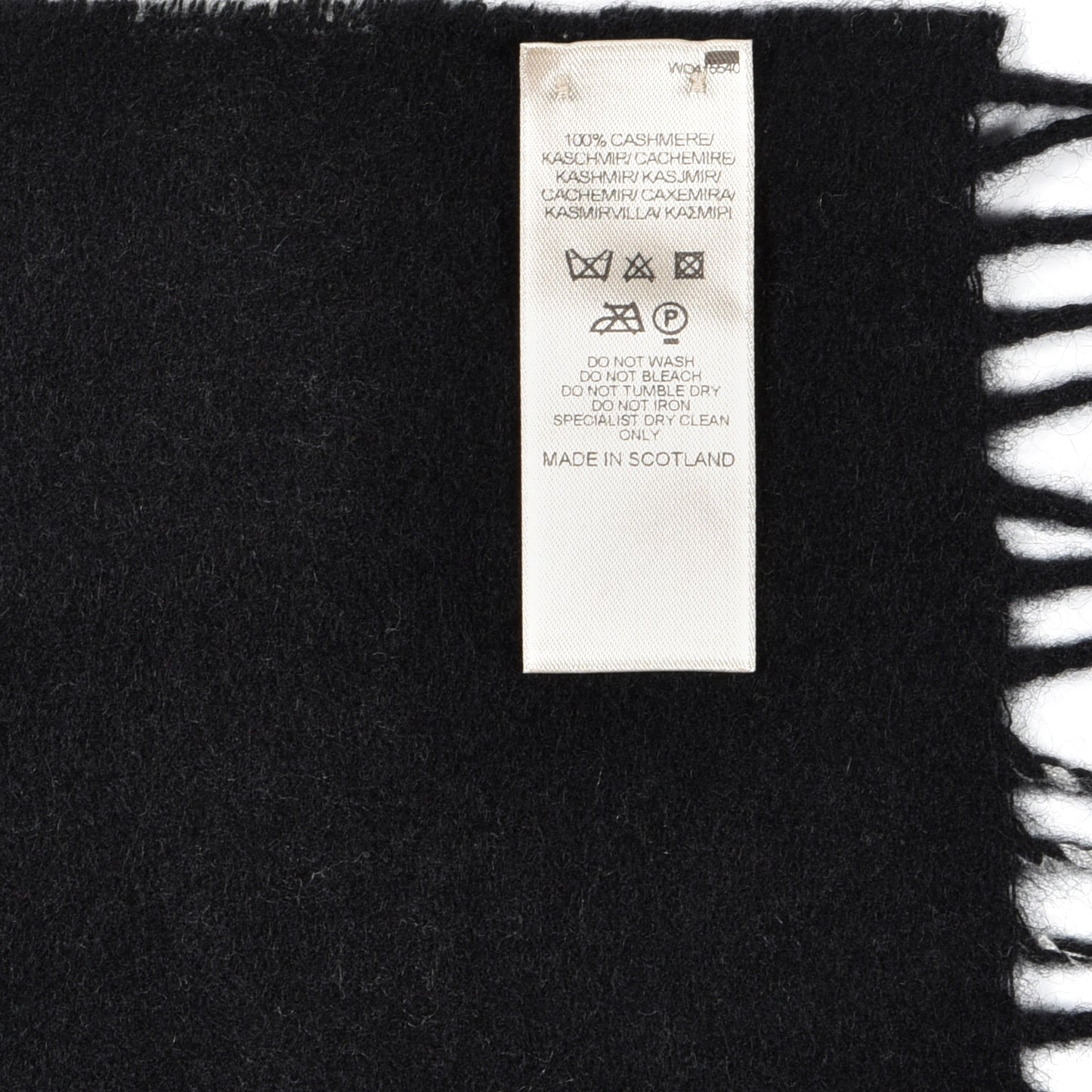 Cashmere Classic Check Fringe Scarf Black