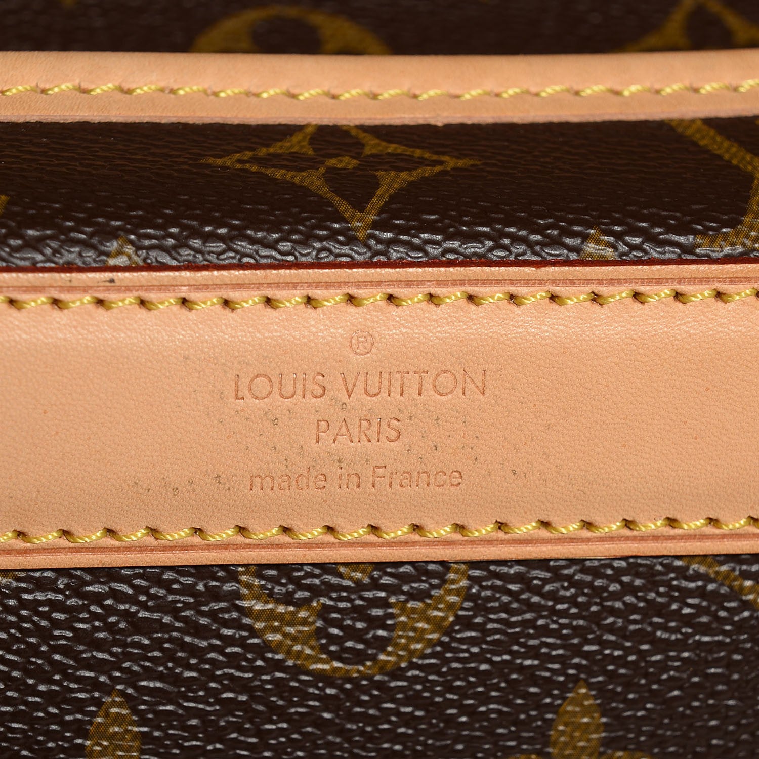 Louis Vuitton Monogram Sac Chien 50 Pet Carrier 6 of 7