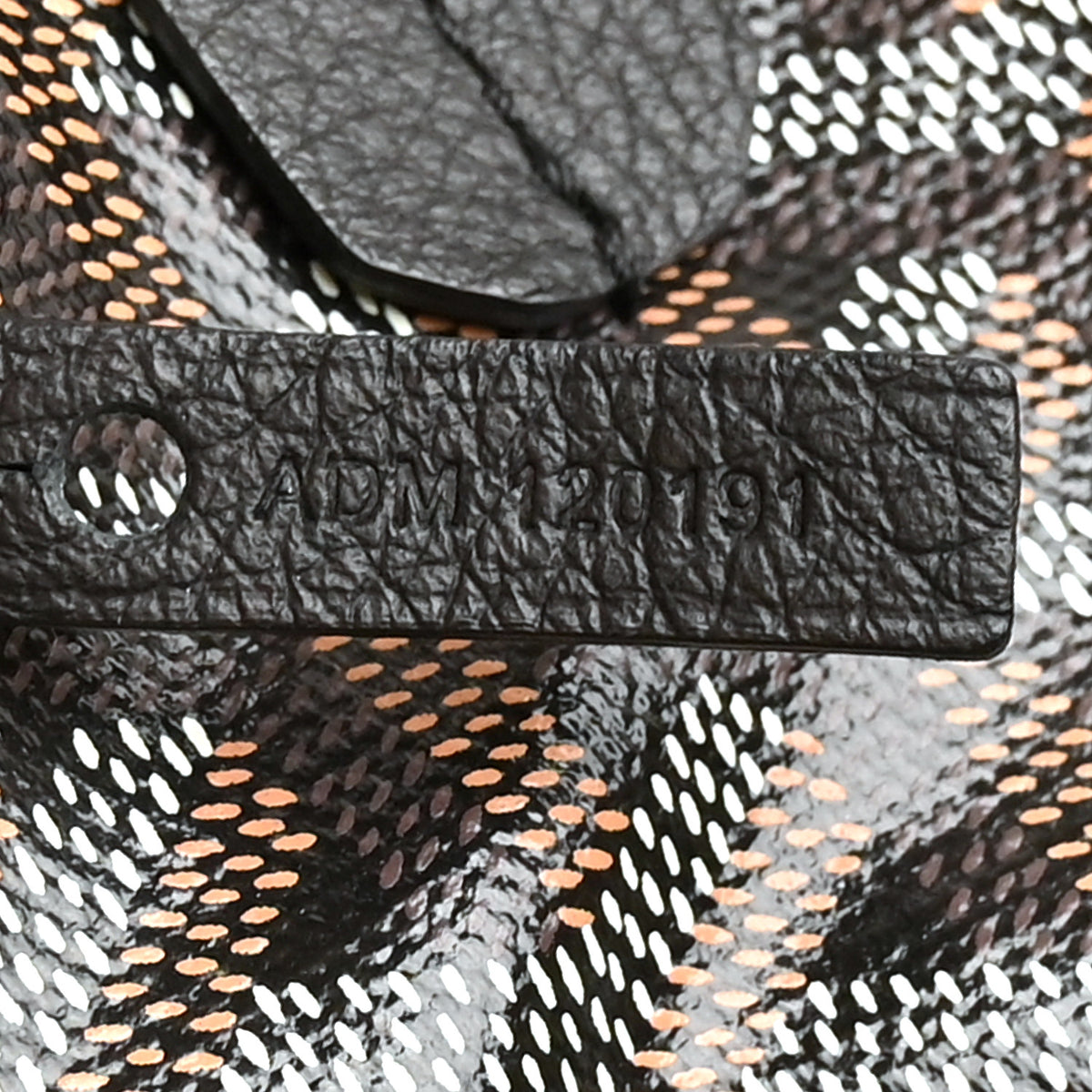 Goyard Goyardine Saint Louis PM Black 6 of 11