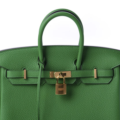 Hermes Togo Birkin 25 Bambou 10 of 11
