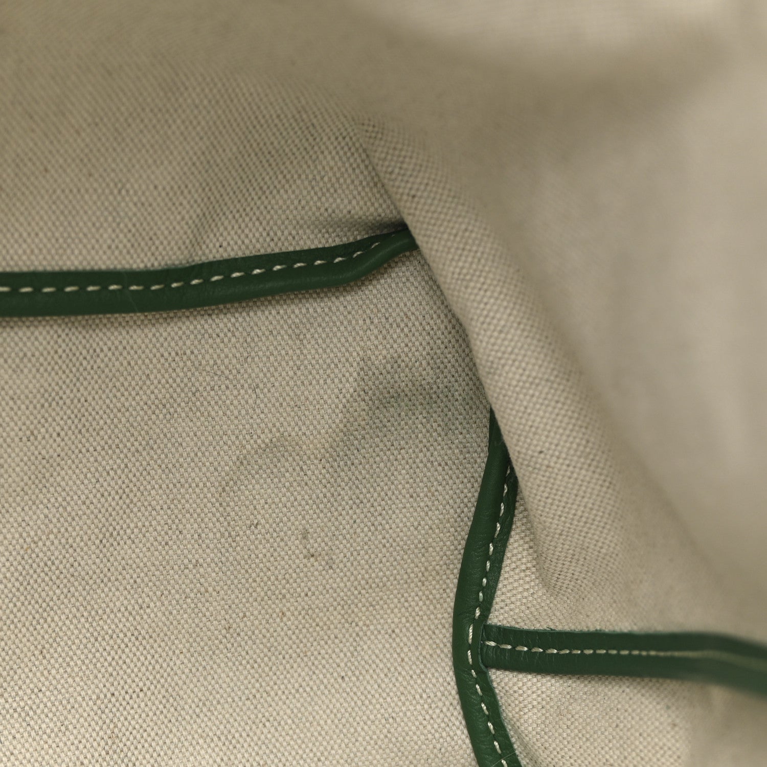 Goyard Goyardine Saint Louis PM Green 13 of 13