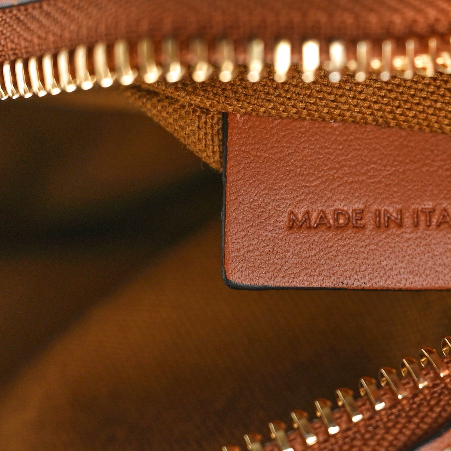 Celine Triomphe Canvas Small Camera Bag Tan 7 of 10