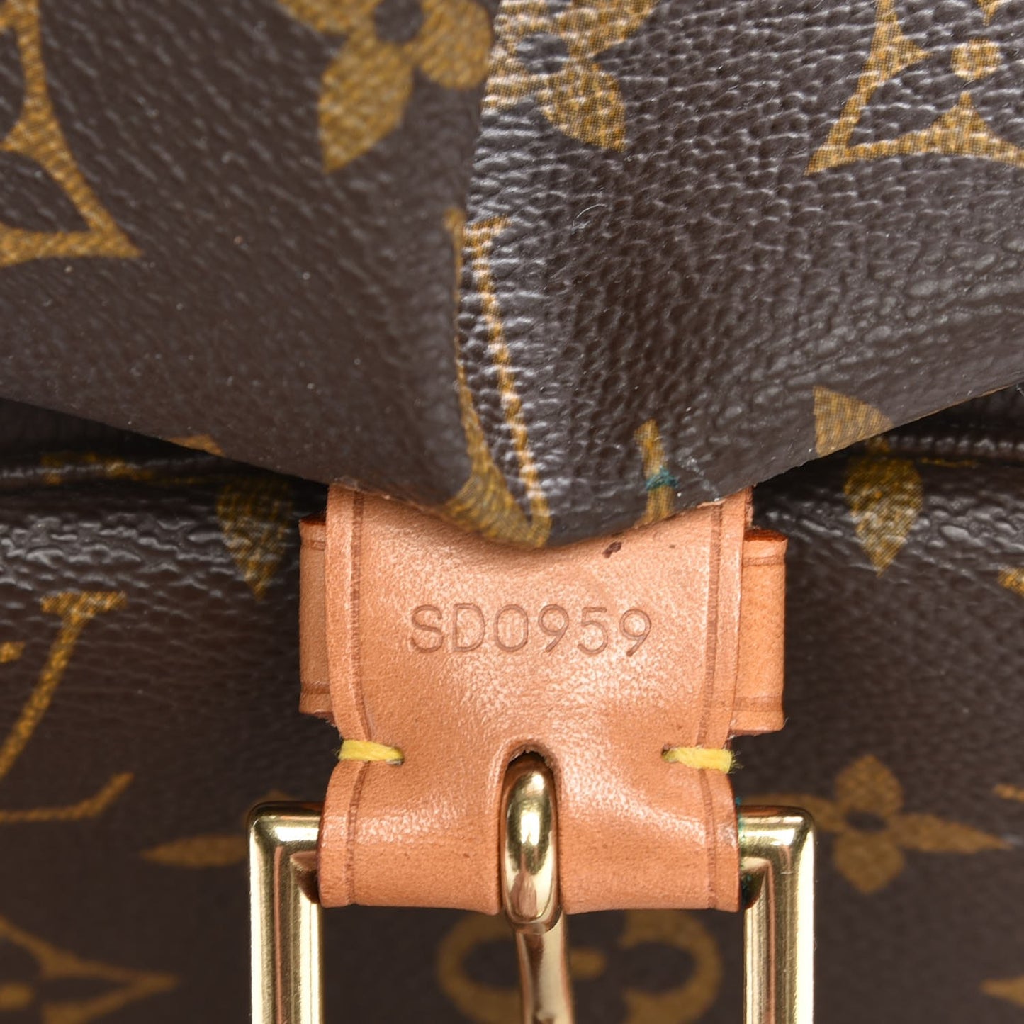 Monogram Montsouris GM Backpack