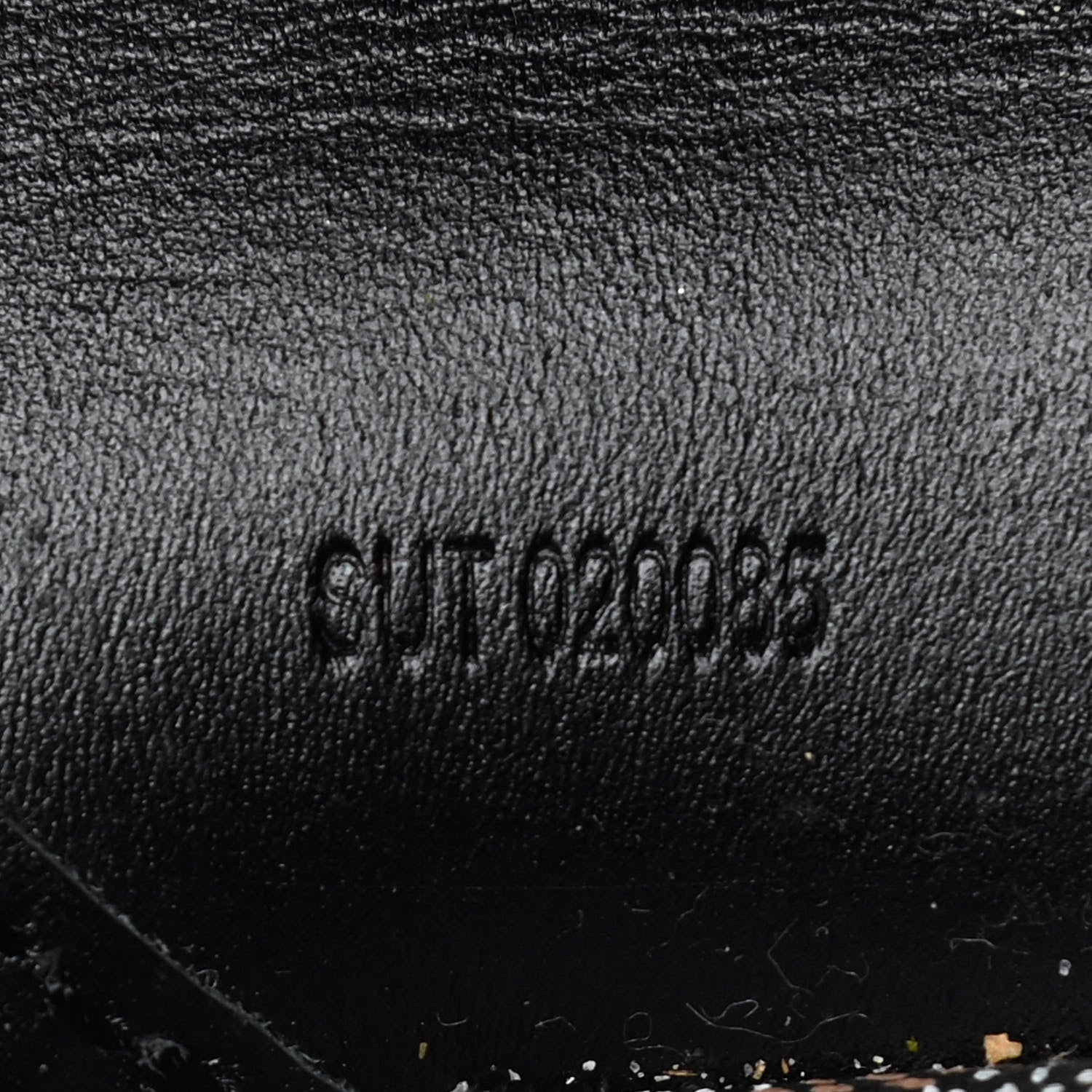 Goyard Goyardine Saint Louis PM Black 7 of 26