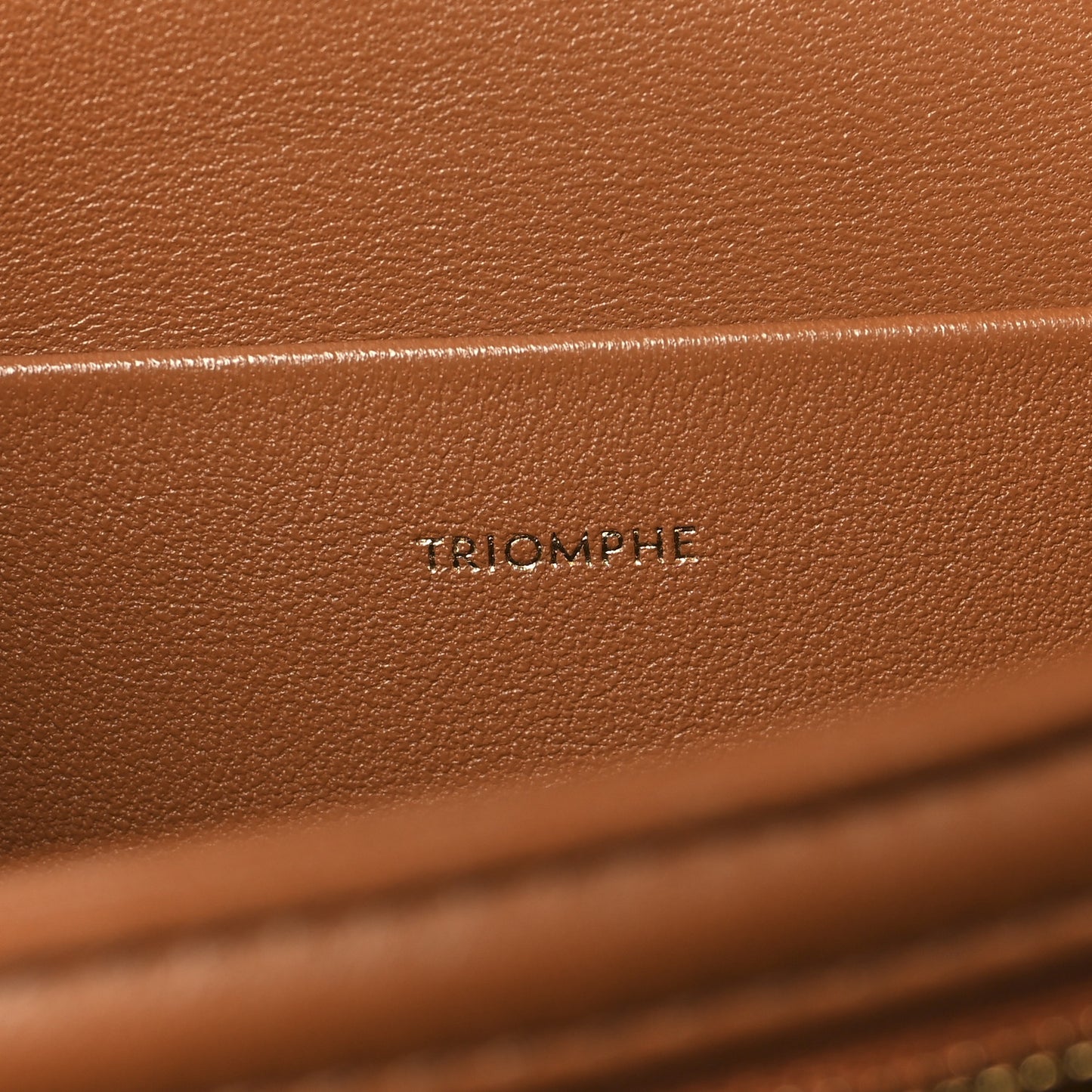 Natural Calfskin Medium Triomphe Tan
