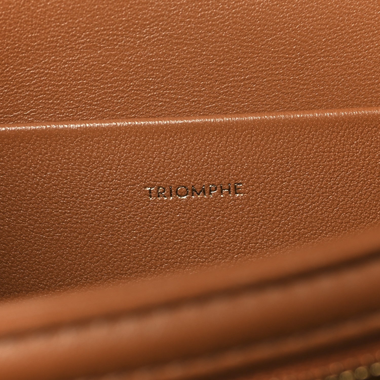 Celine Natural Calfskin Medium Triomphe Tan 6 of 11