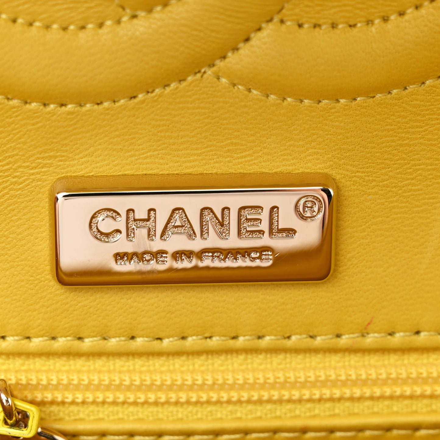 Alligator Medium Double Flap Yellow