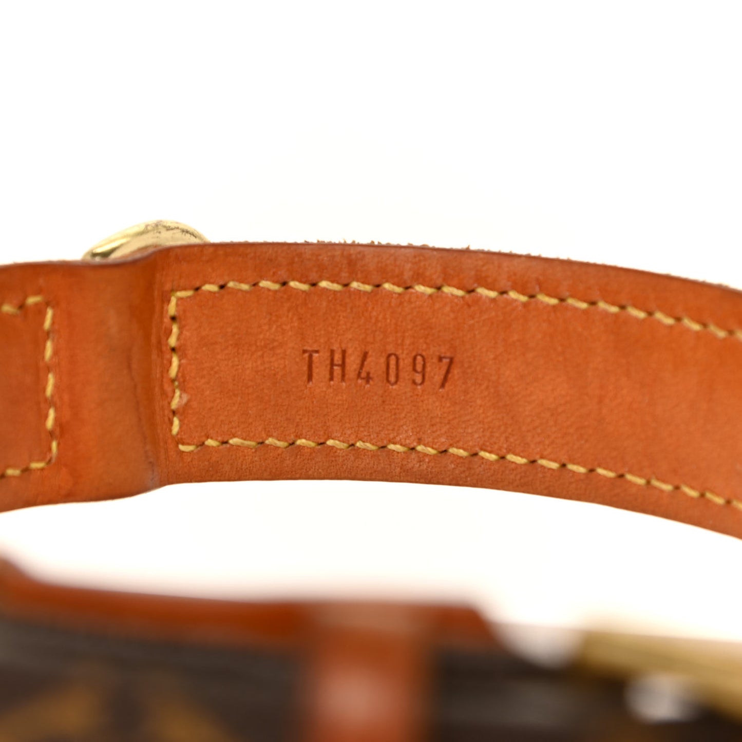 Monogram Baxter Dog Collar MM
