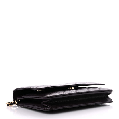 Chanel Caviar Quilted Wallet on Chain WOC Dark Brown 3 of 14