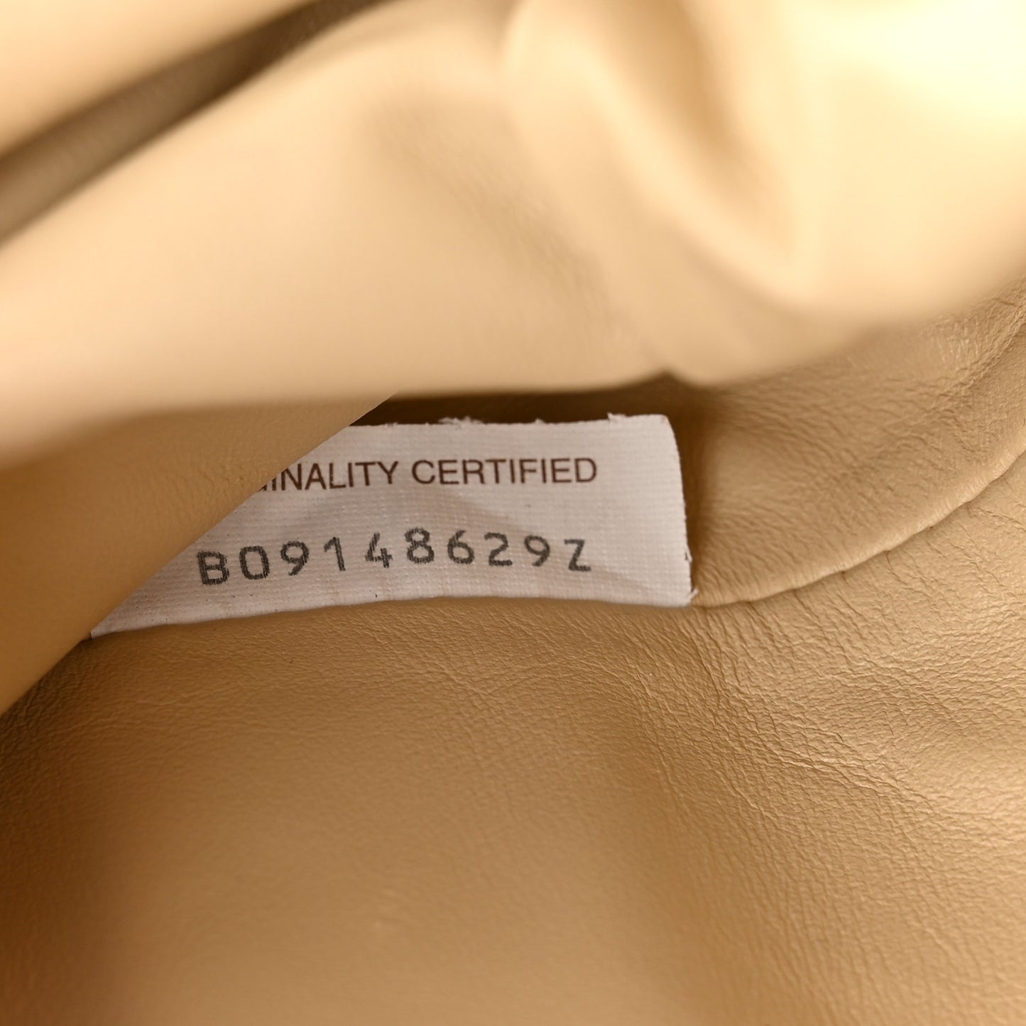 Butter Calfskin The Mini Pouch Nude