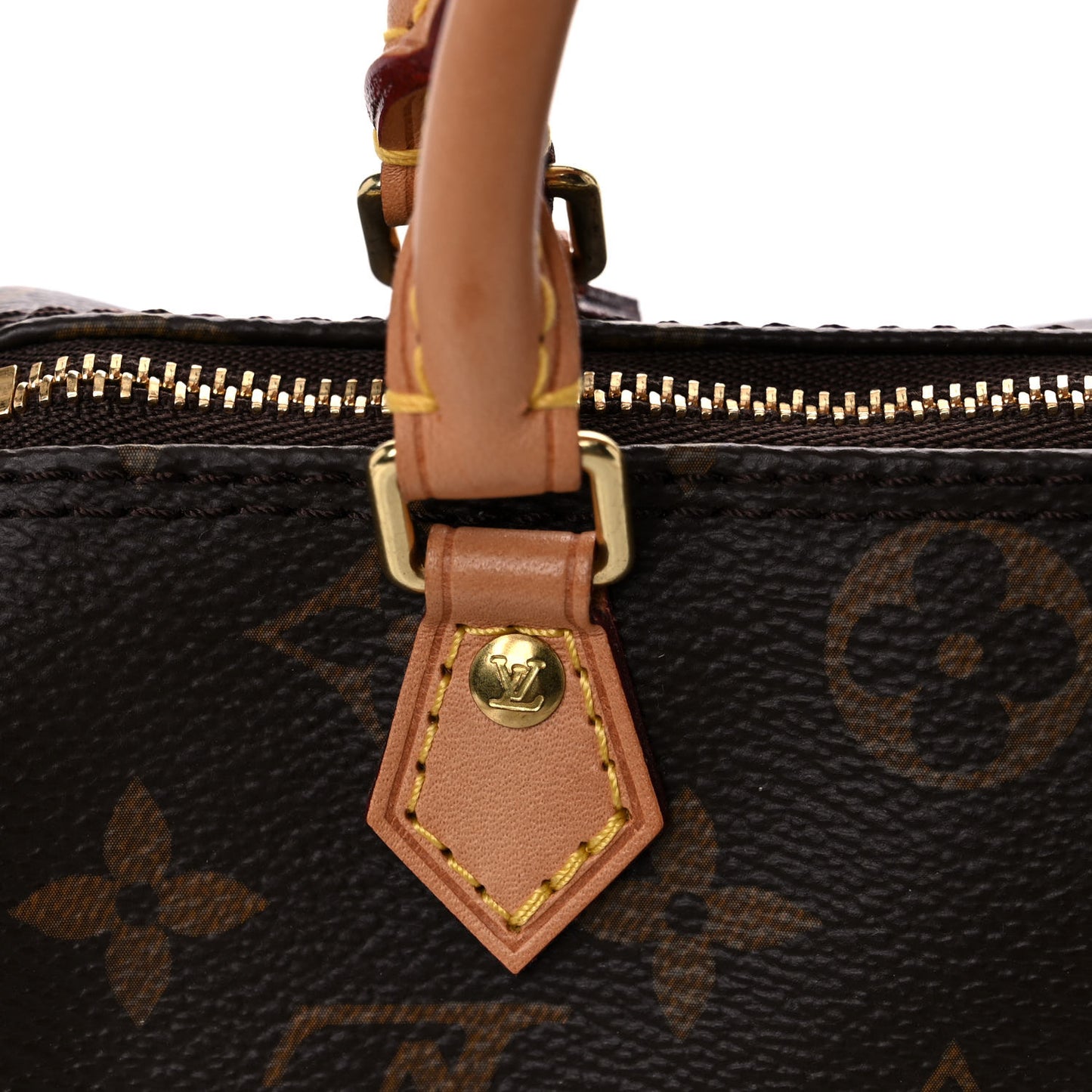 Monogram Nano Speedy