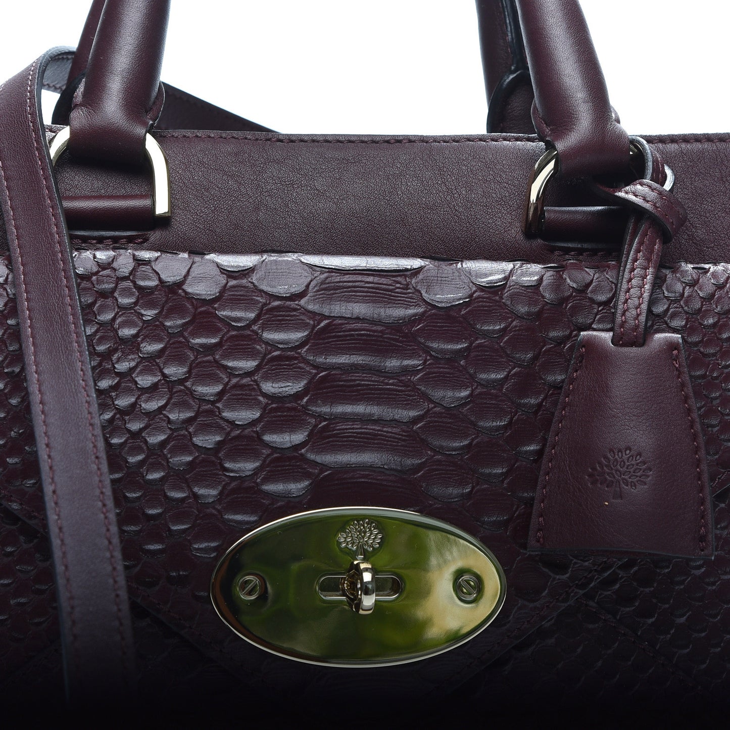 Silky Calfskin Snakeskin Small Willow Tote Oxblood