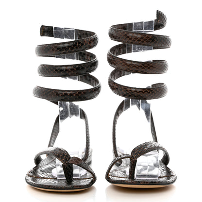 Bottega Veneta Calfskin Python Printed Spiral Flat Sandals 36 Chocolate 2 of 8