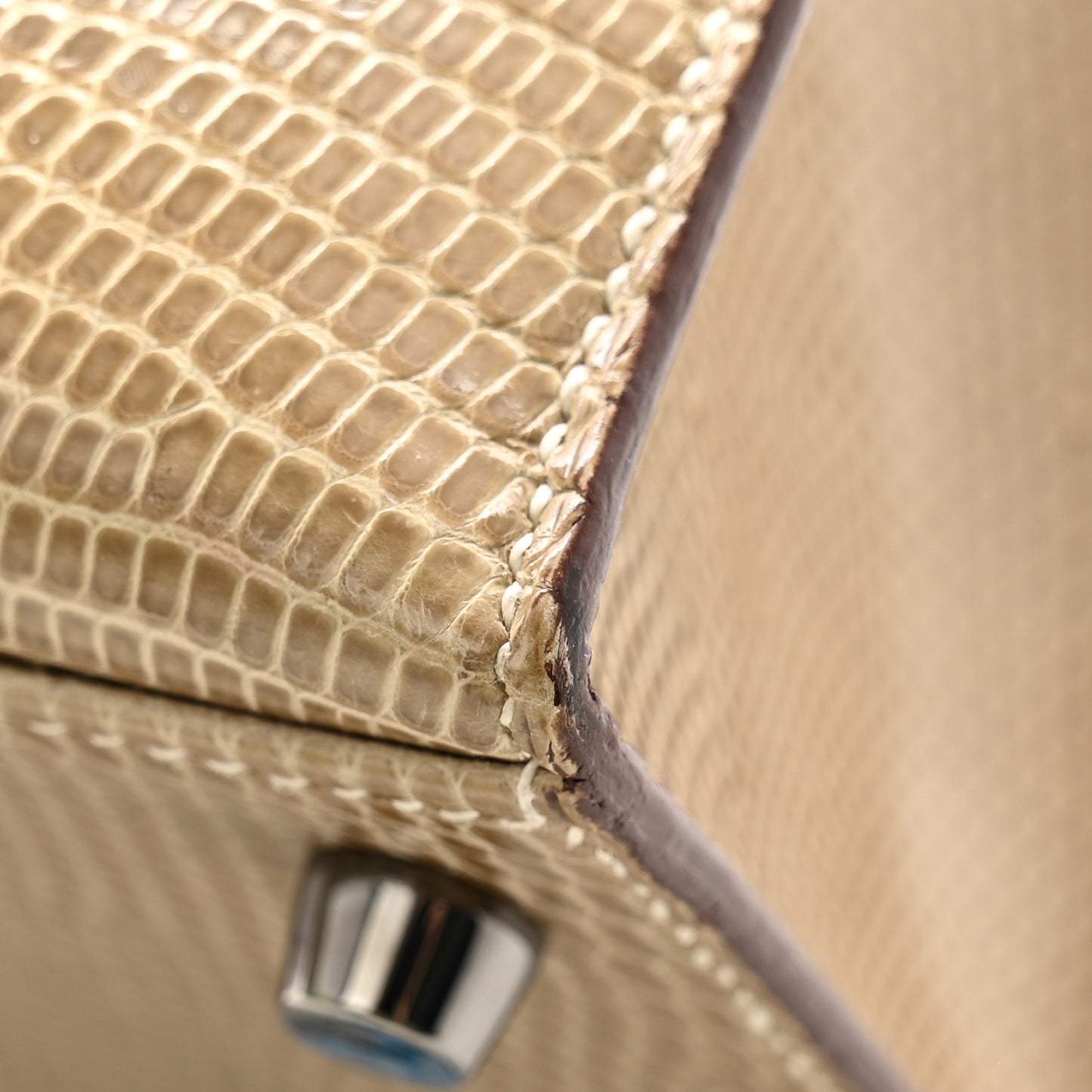 Lizard Niloticus Kelly Sellier 25 Ficelle