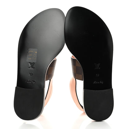 Louis Vuitton Calfskin Damier Ebene Passenger Flat Sandals 37 Venus Pink 5 of 9