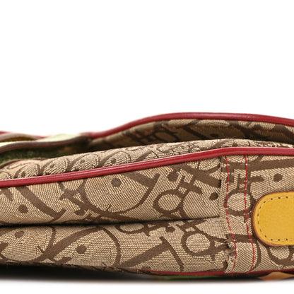 Christian Dior Monogram Rasta Saddle Bag Beige 15 of 20