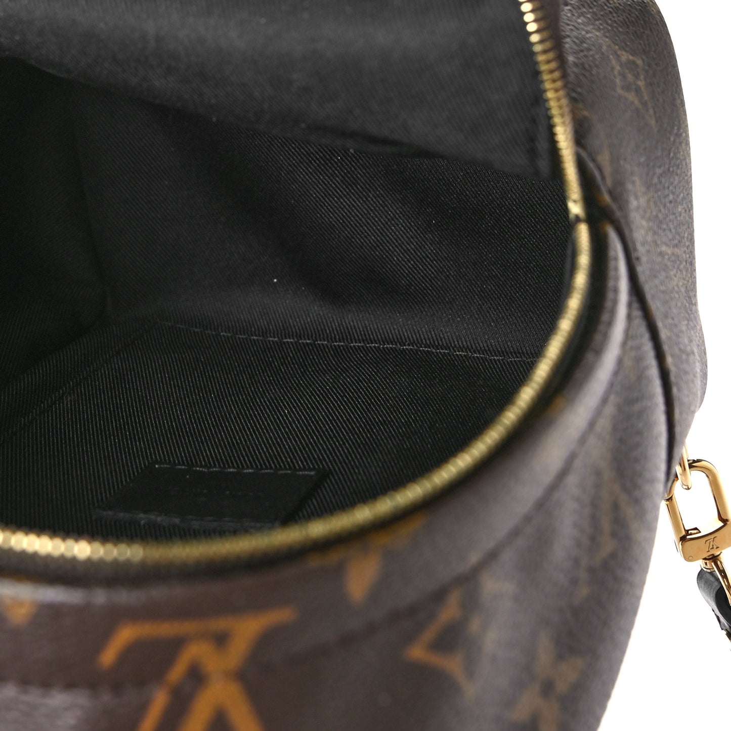 Monogram Palm Springs Backpack Mini