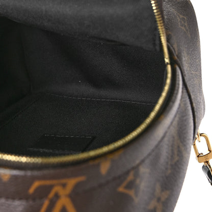 Louis Vuitton Monogram Palm Springs Backpack Mini 4 of 7