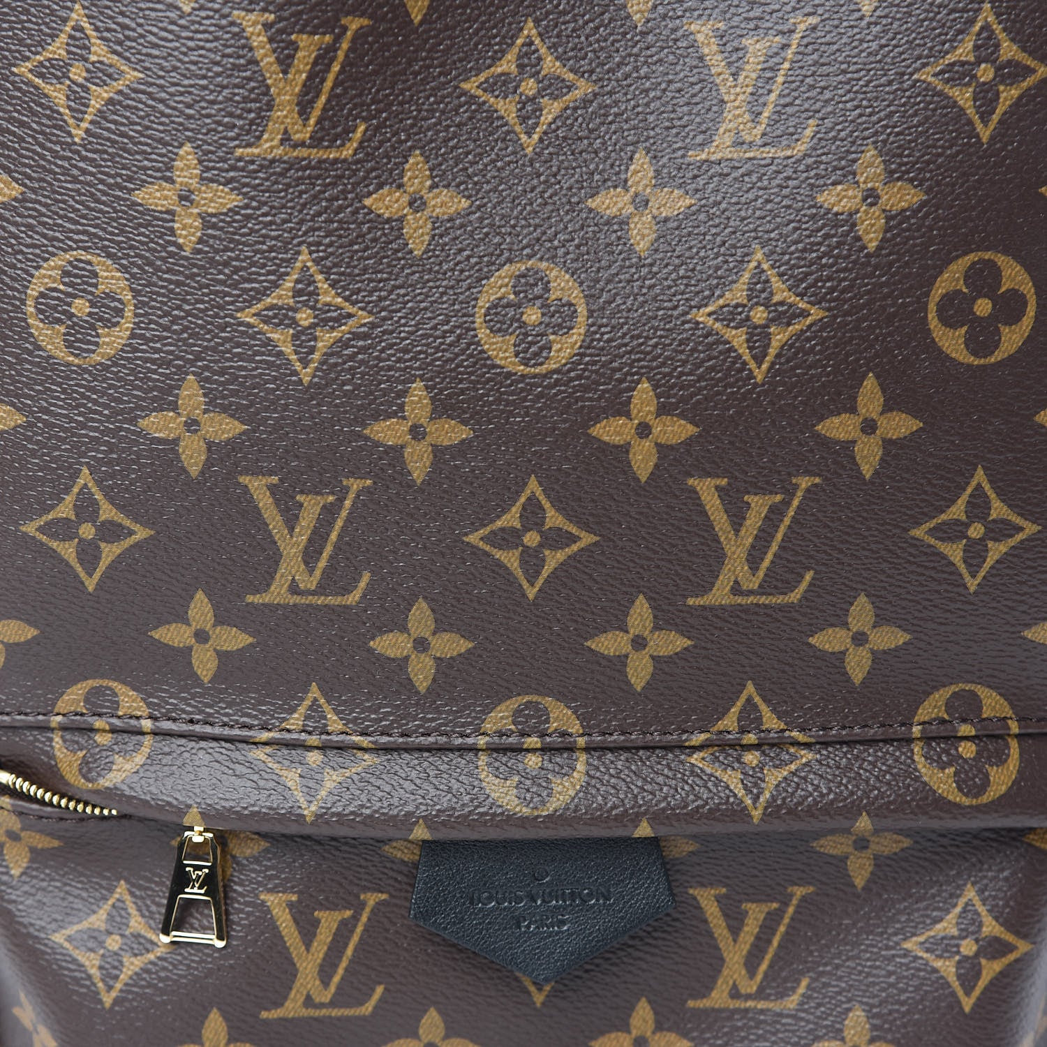 Louis Vuitton Monogram Palm Springs Backpack MM 10 of 10