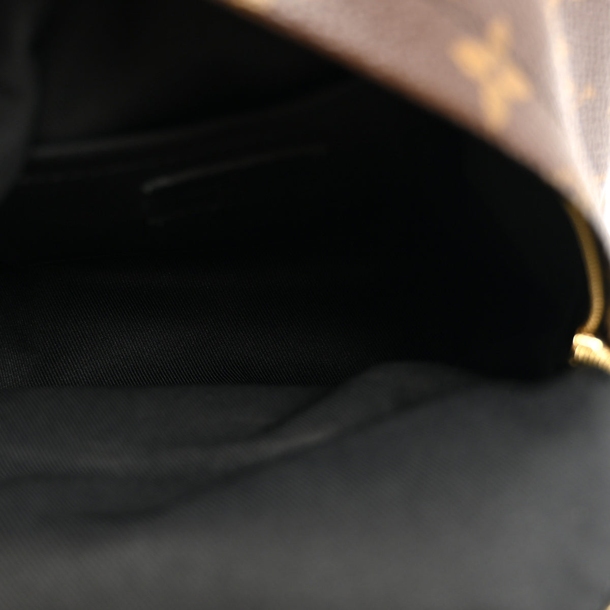 Louis Vuitton Monogram Palm Springs Backpack Mini 5 of 10