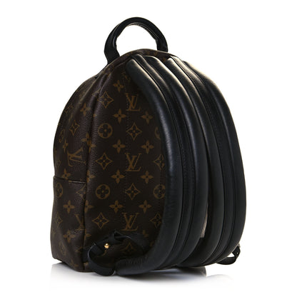 Louis Vuitton Monogram Palm Springs Backpack PM 3 of 15