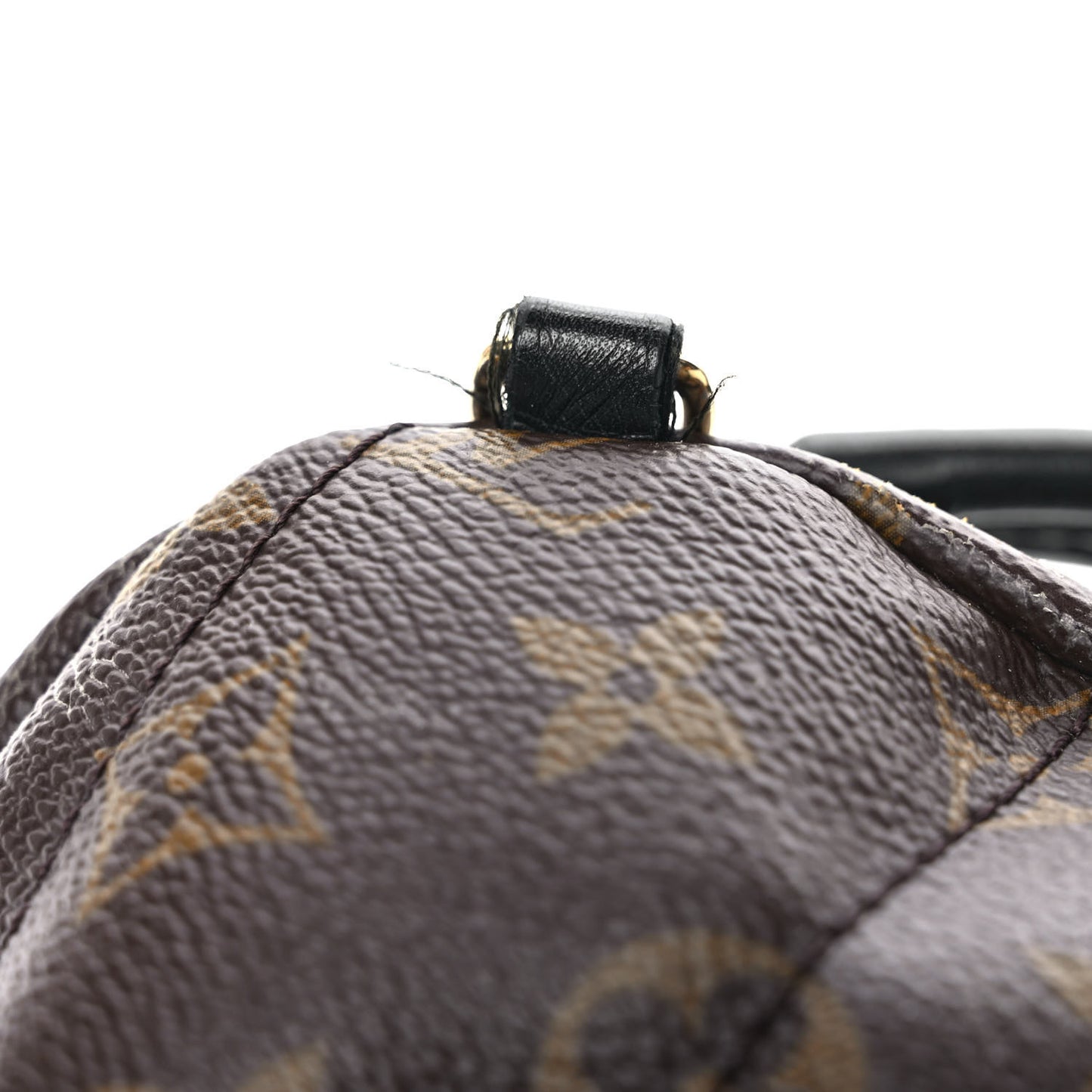 Monogram Palm Springs Backpack Mini
