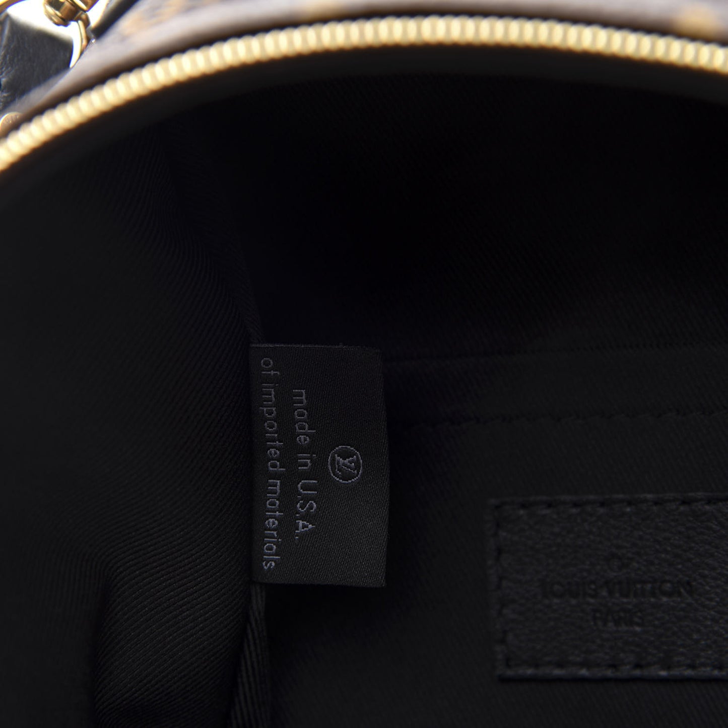 Monogram Palm Springs Backpack Mini