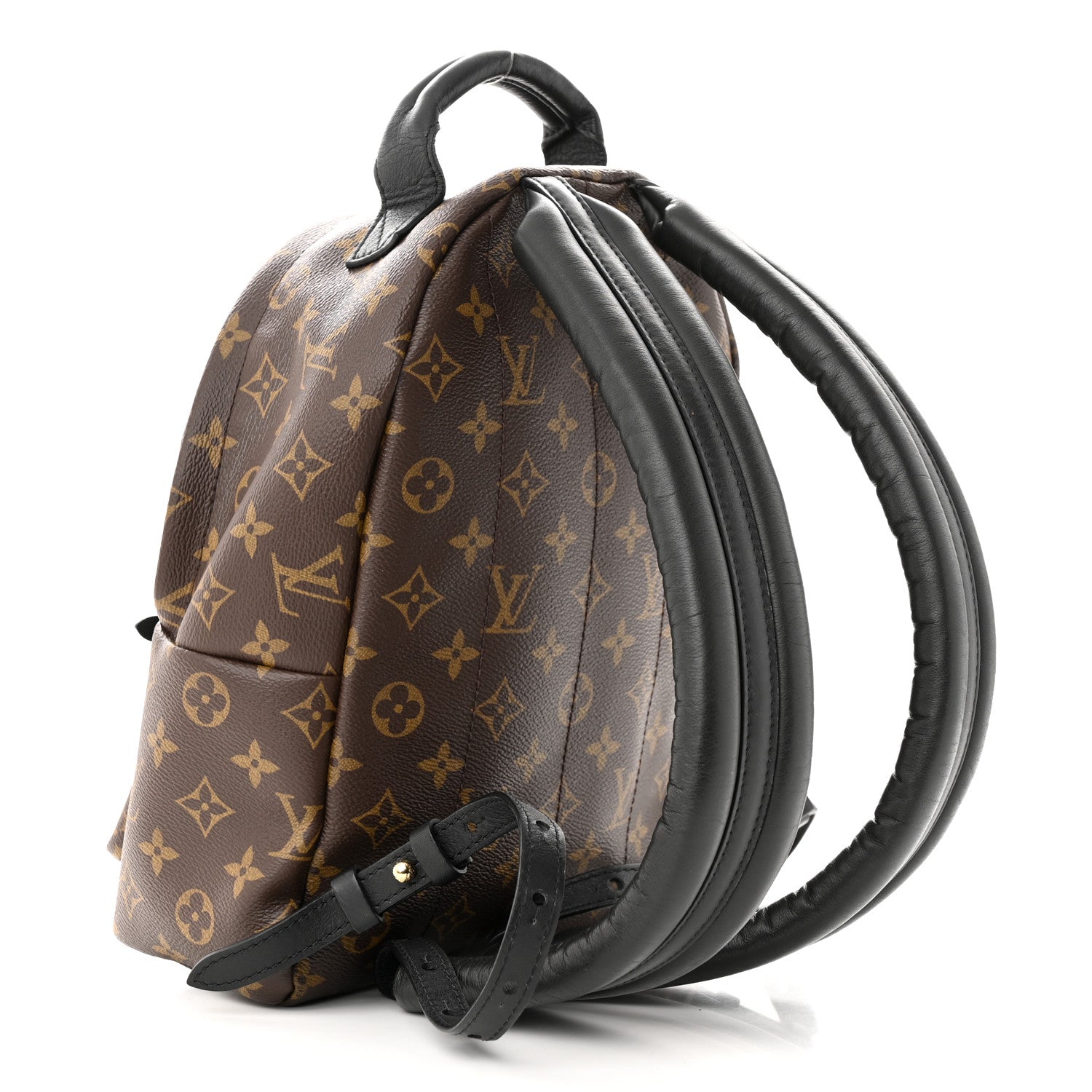 Louis Vuitton Monogram Palm Springs Backpack PM 3 of 10