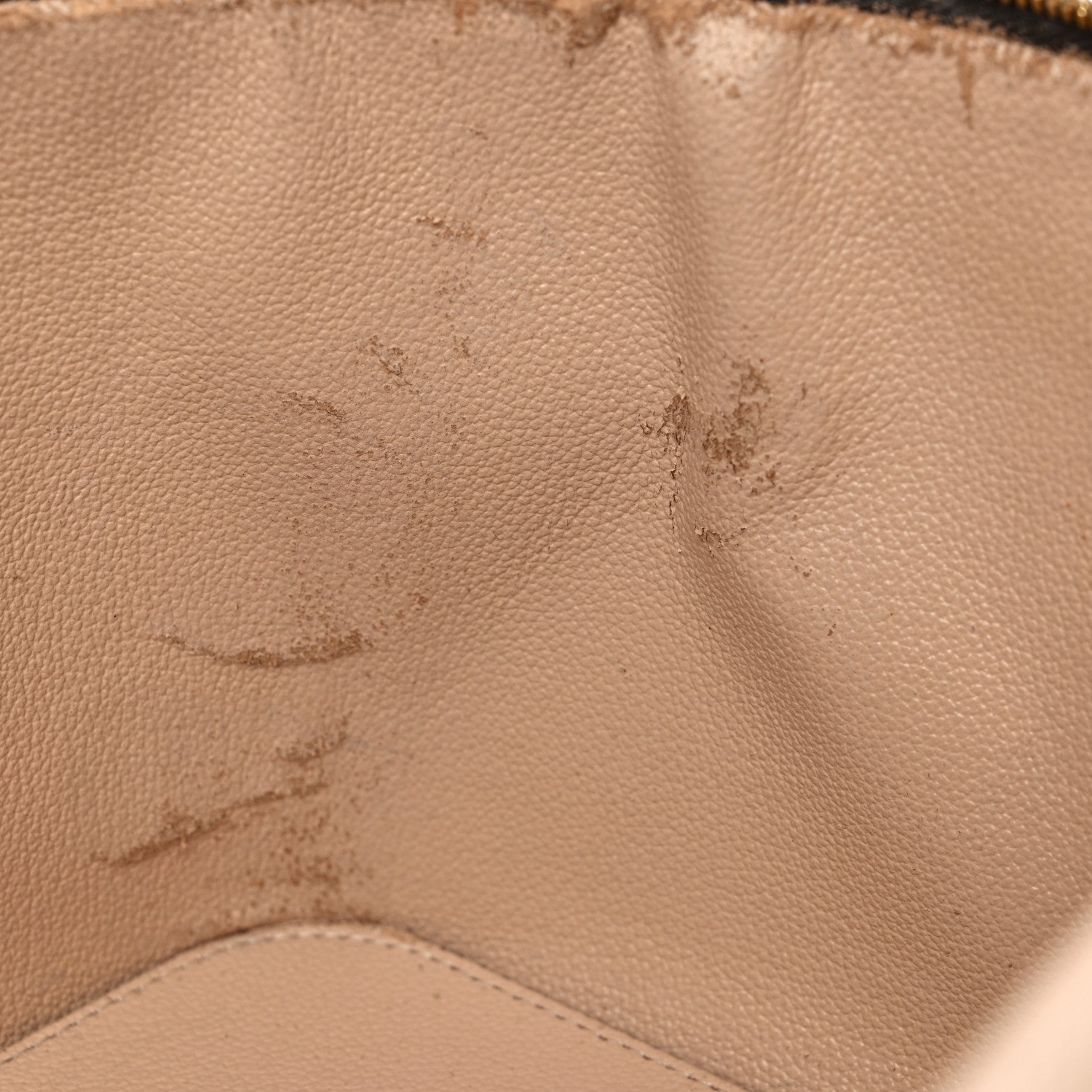 Louis Vuitton Monogram Nice 16 of 24
