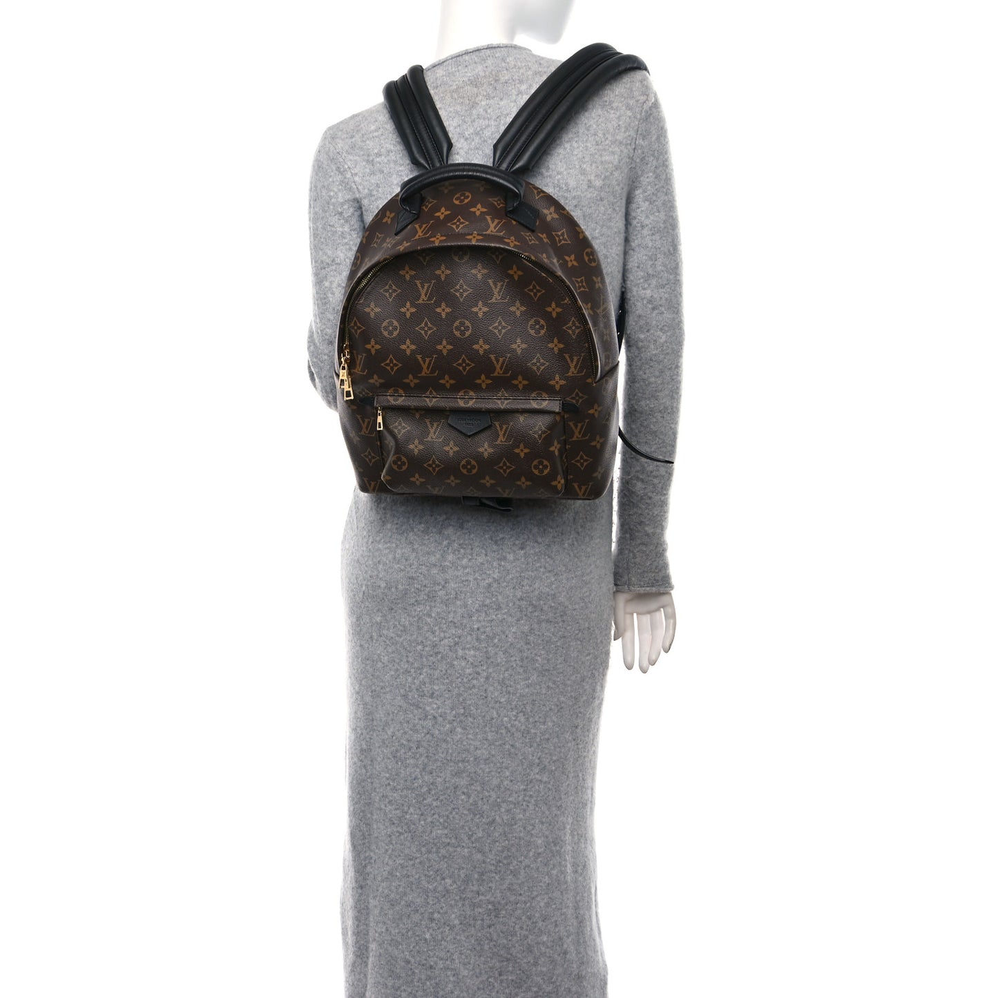 Monogram Palm Springs Backpack MM