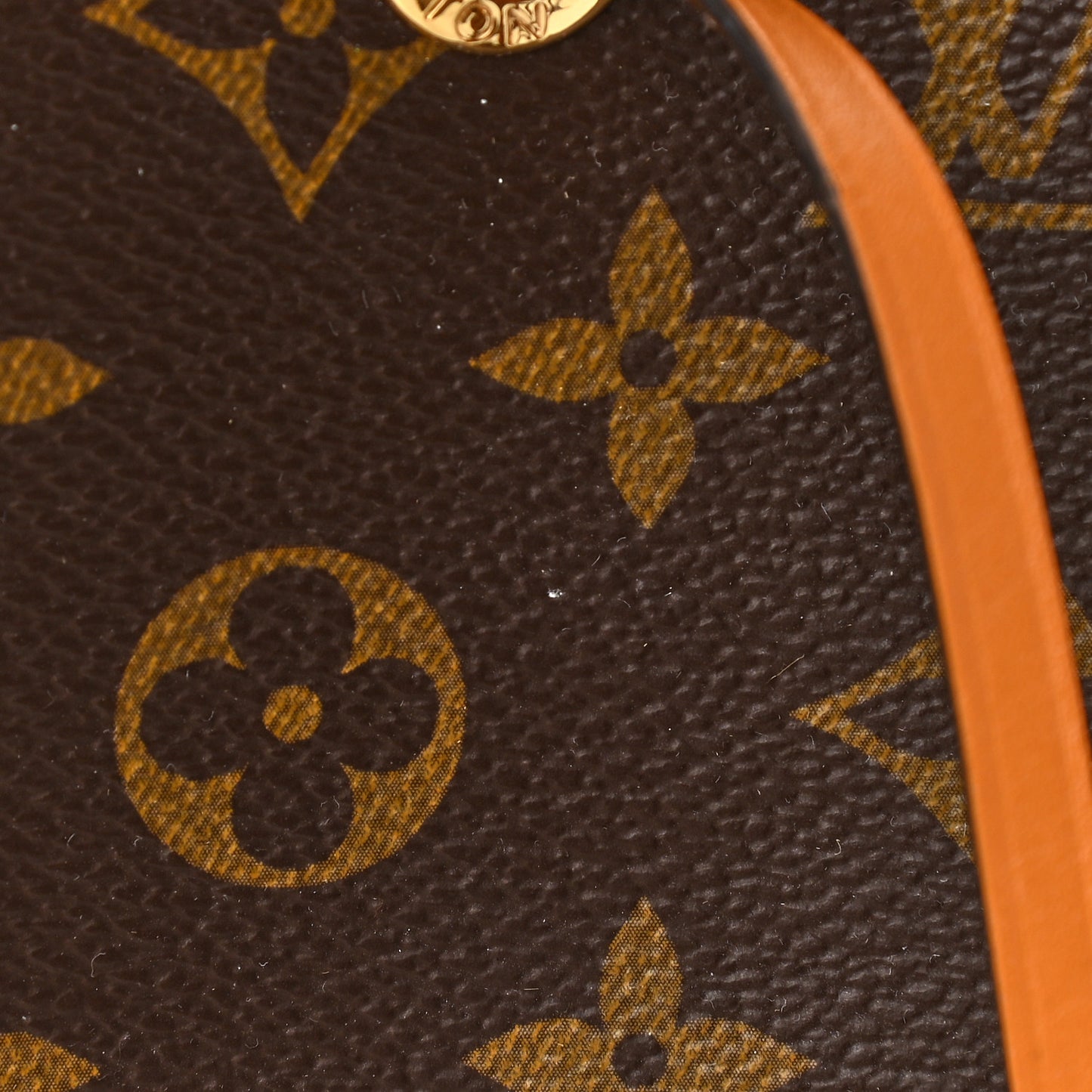 Monogram Neonoe MM Safran