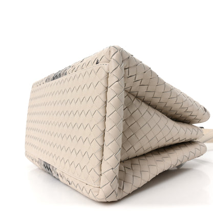 Bottega Veneta Light Calf Snakeskin Intrecciato Embroidered Small Roma Cream 9 of 9