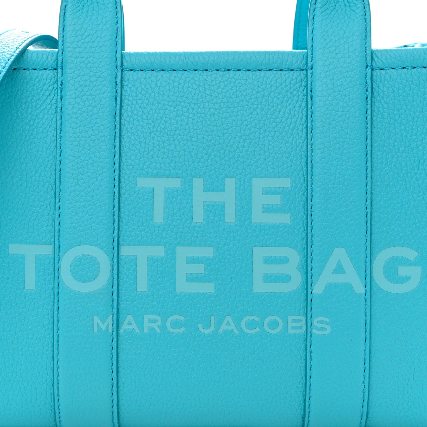 Grained Calfskin Small The Tote Bag Pool