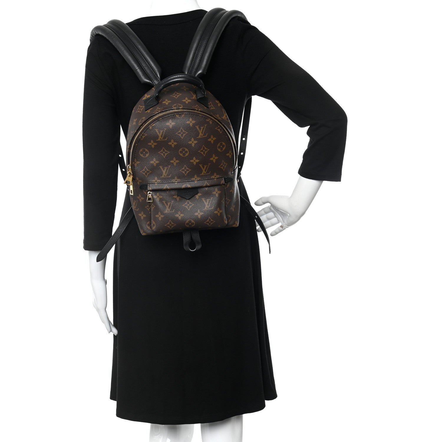 Louis Vuitton Monogram Palm Springs Backpack PM 2 of 14
