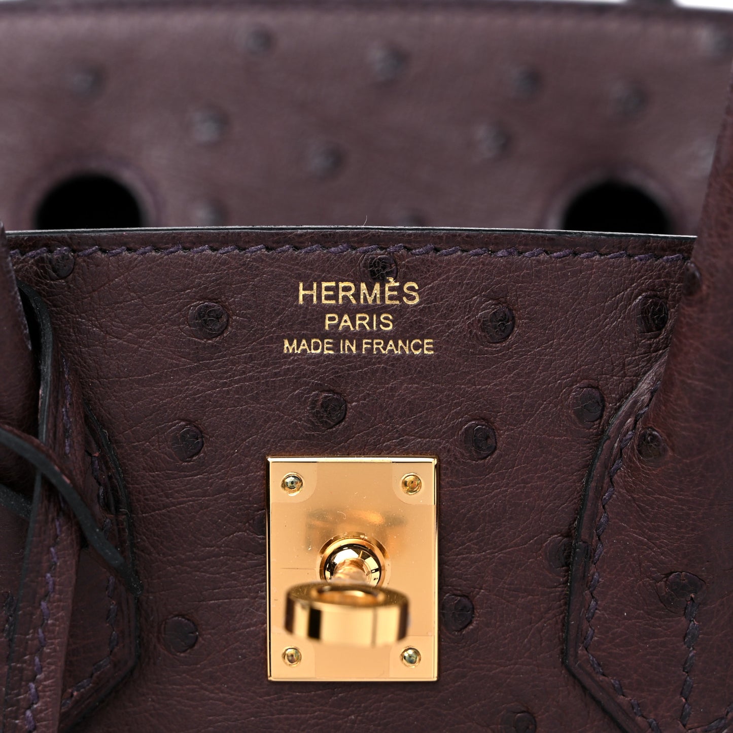 Ostrich Birkin 25 Rouge Sellier