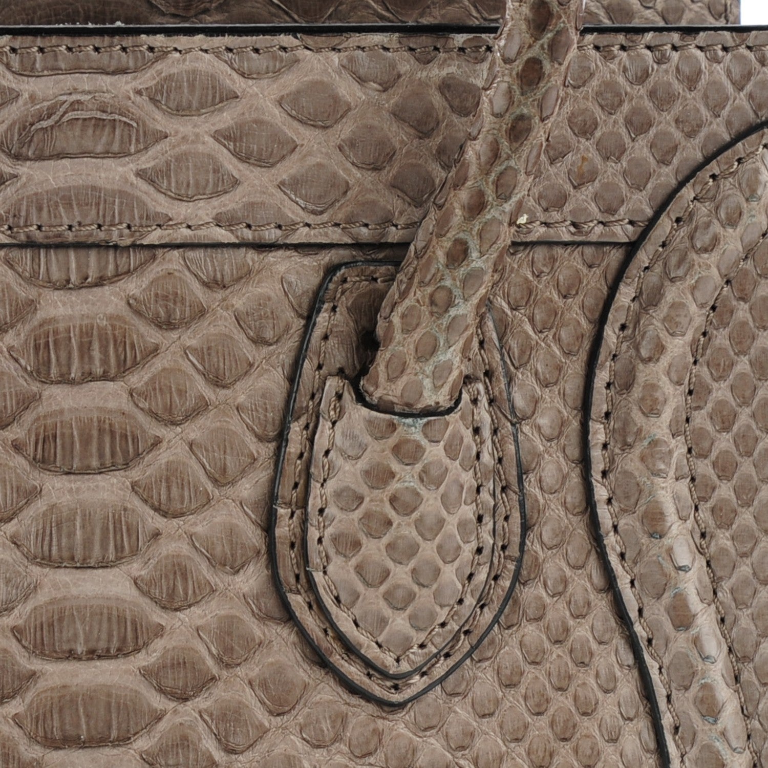 Celine Python Nano Luggage Grey 9 of 12