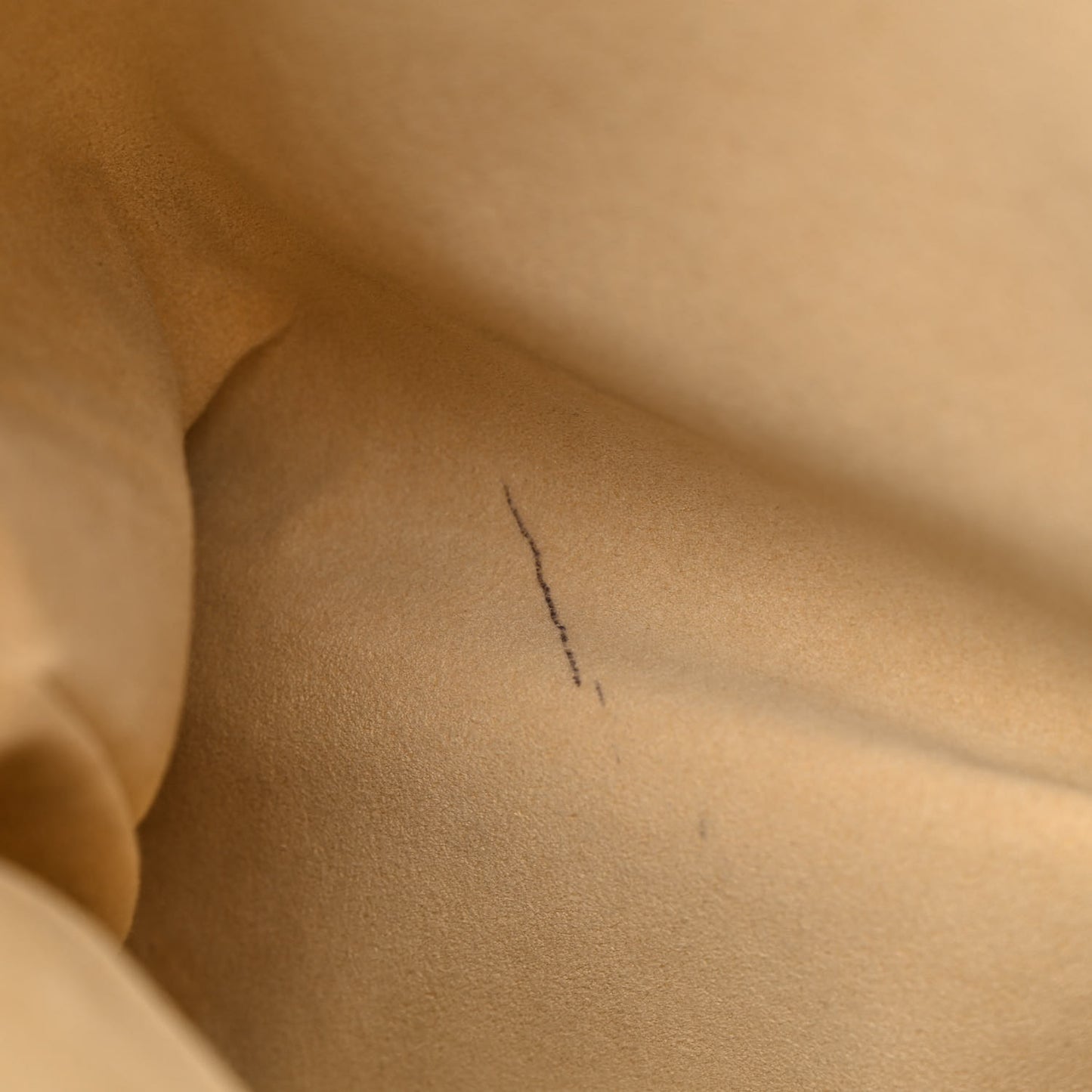 Monogram Galliera PM