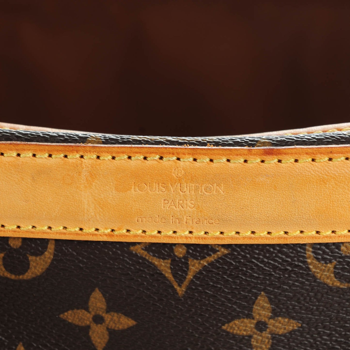 Monogram Sac Chien 40 Pet Carrier