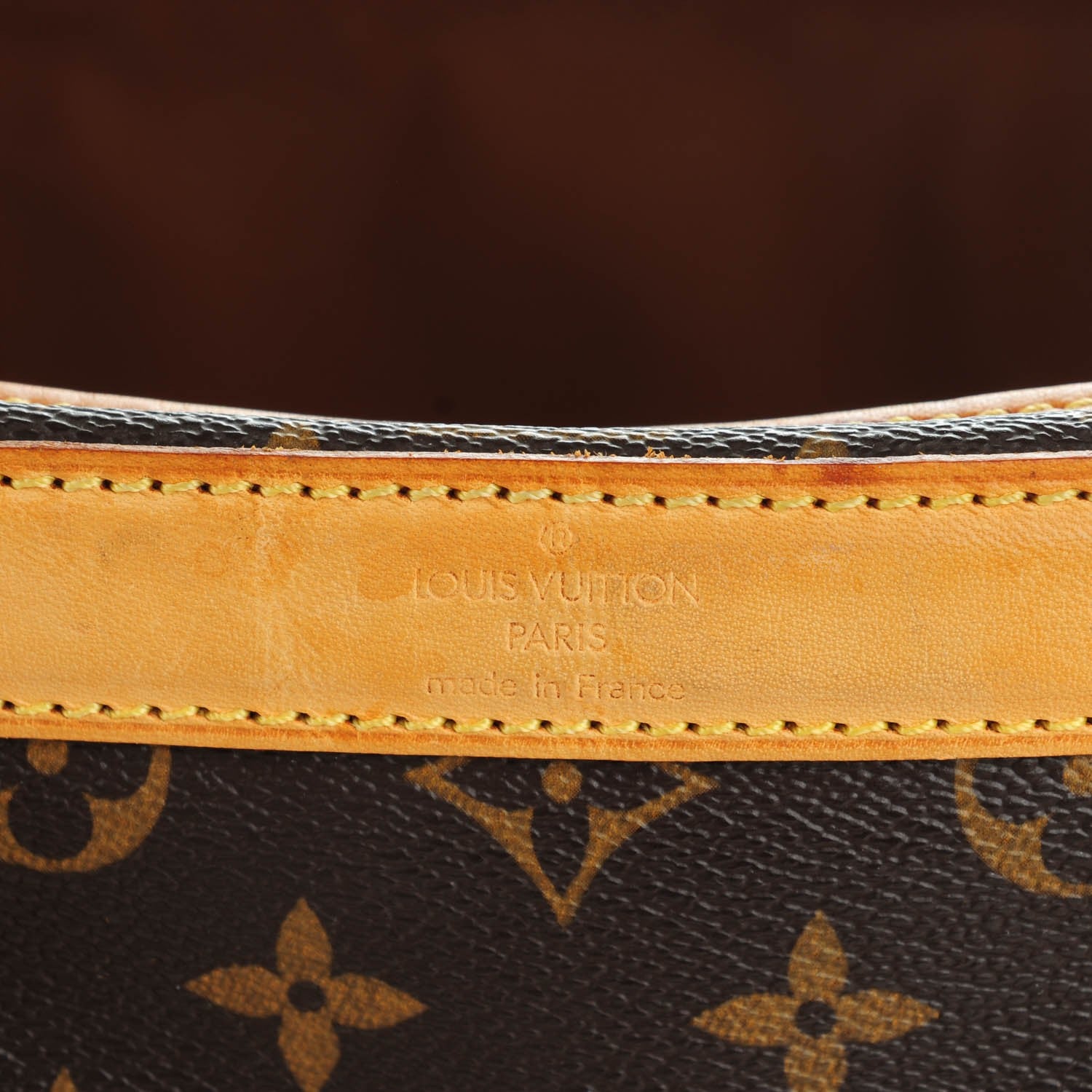 Louis Vuitton Monogram Sac Chien 40 Pet Carrier 7 of 10