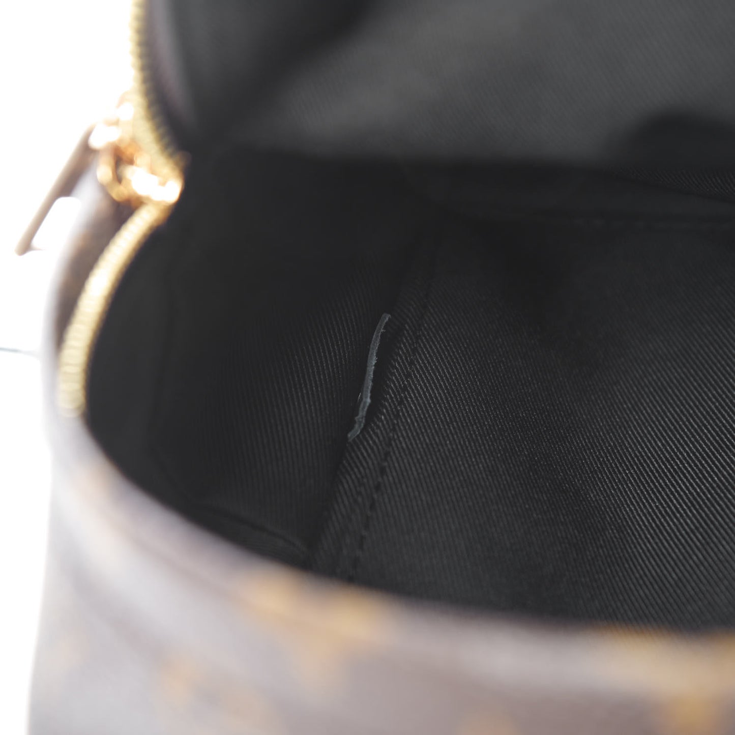 Reverse Monogram Palm Springs Backpack PM